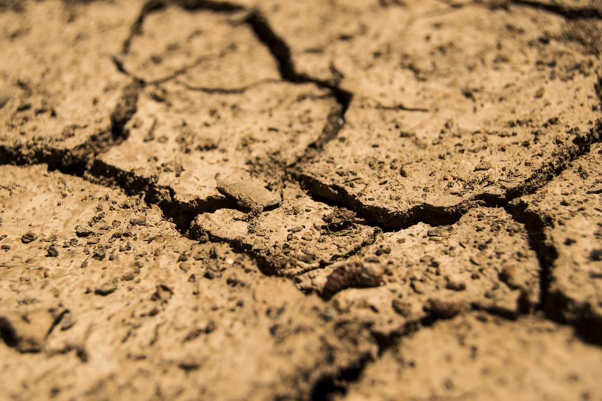 Sucho sužuje Evropu. V bezpečí není ani Česko