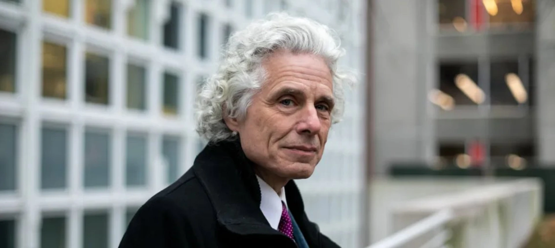 Steven Pinker 
