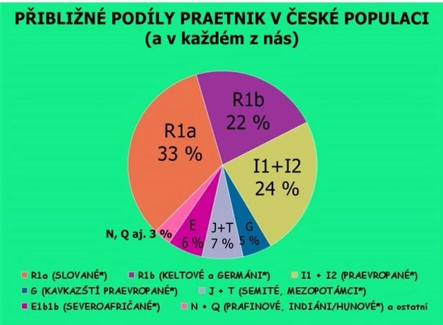 Přibližné podíly praetnik v české populaci