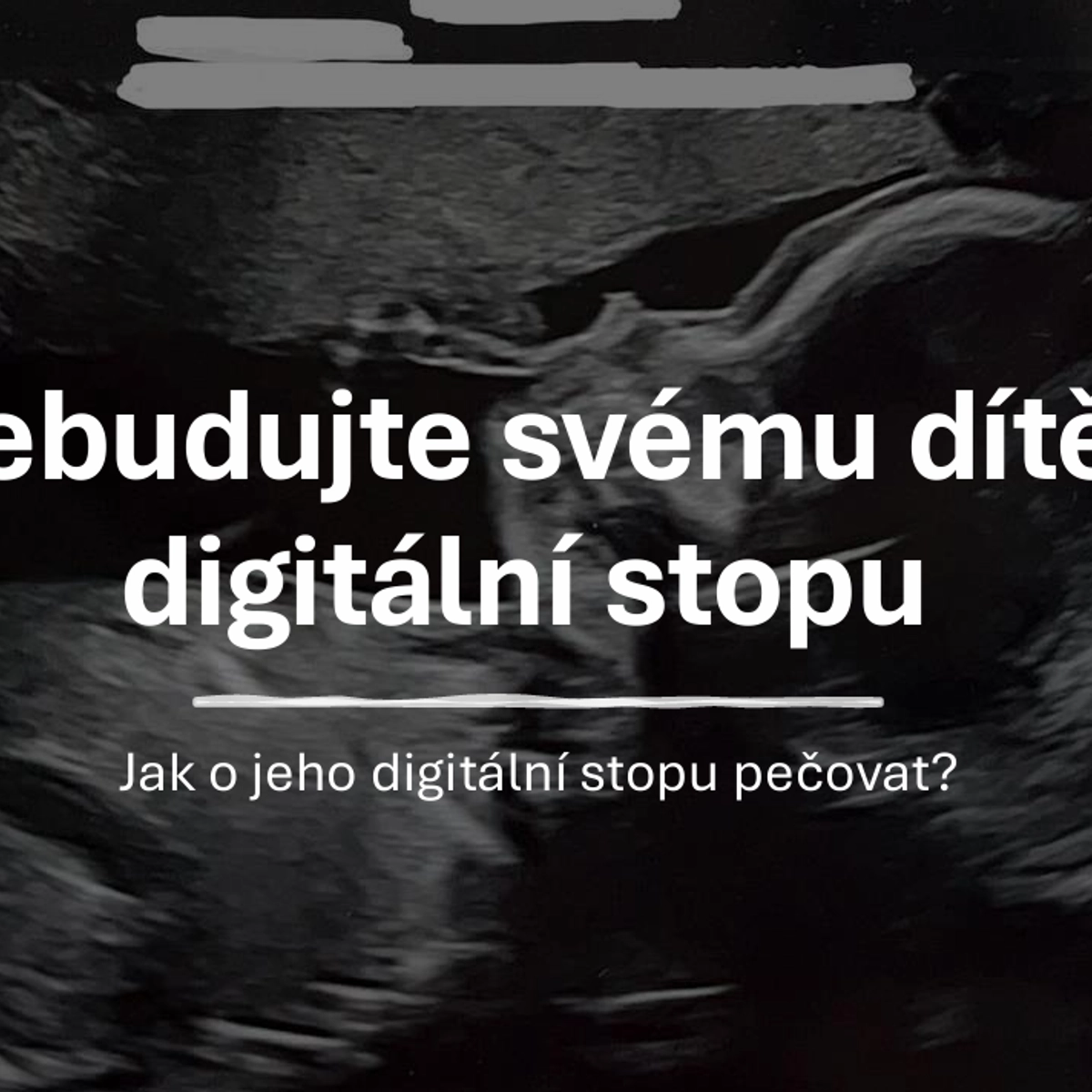 Kyberprostor  je nedílnou součástí našeho každodenního života, ale nese s sebou i řadu rizik, která se často podceňují