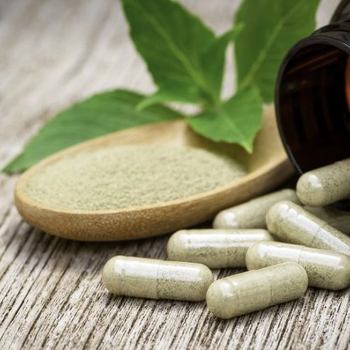 V Česku platí nová a přísnější pravidla pro prodej kratomu, stát se zaměří hlavně na nelegální distribuci