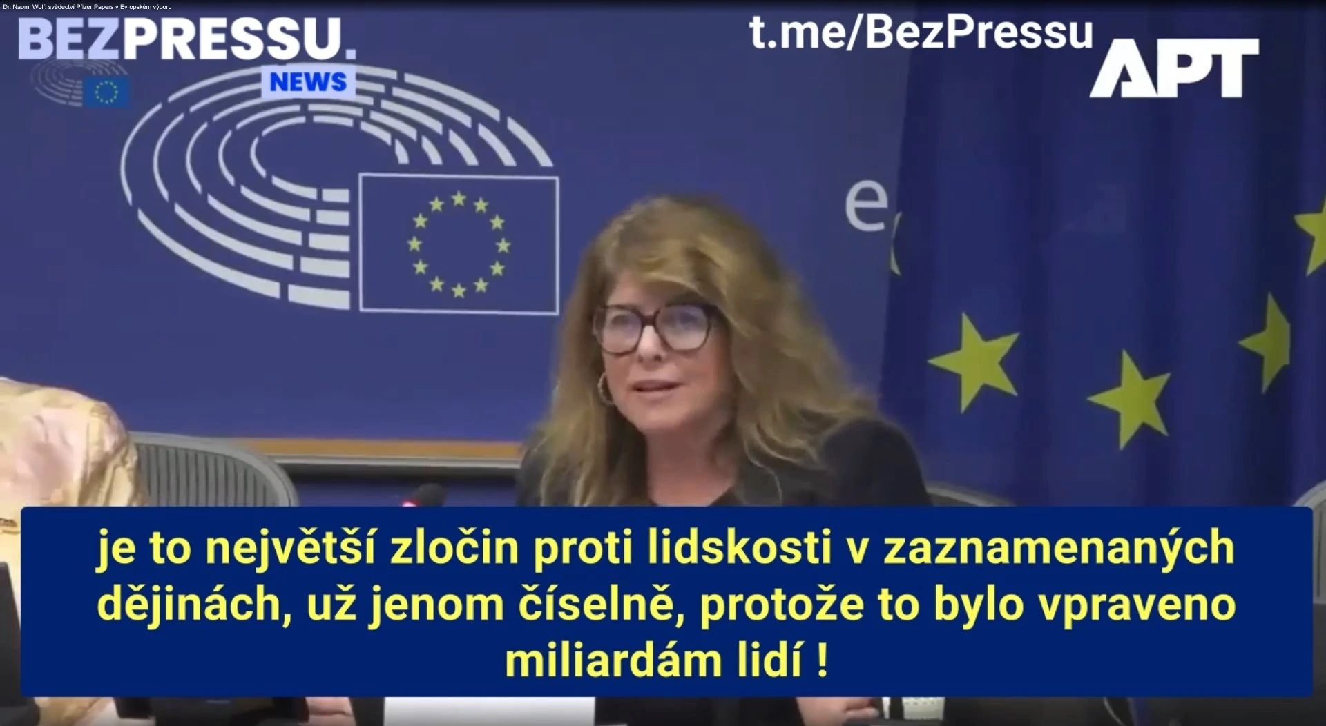 Dr. Naomi Wolf v Evropském výboru EP
