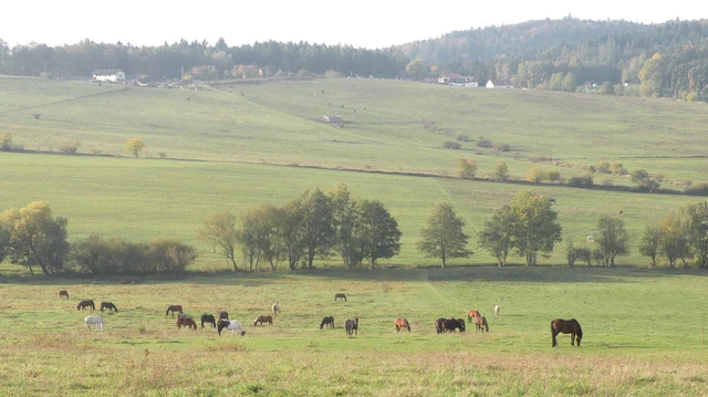 Bezpečí, pohodlí a nakonec hraní