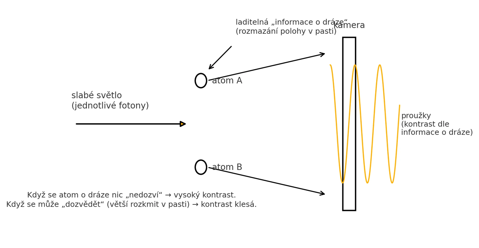 MIT experiment