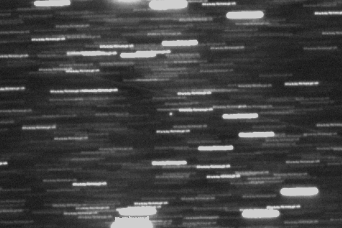 Astronomové sledují nový objekt, který se do naší Sluneční soustavy dostal z jiného hvězdného systému, Češi ho vyfotografovali