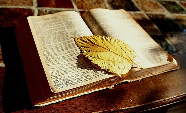 K odchodu Dominika Duky