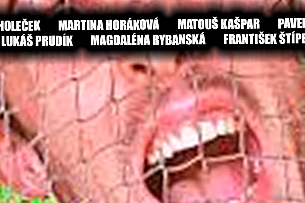 Výstava v Art Space NOV v Pardubicích přináší pohled mladých umělců na svět internetu